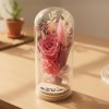 Rosa Especial Dia da Mãe