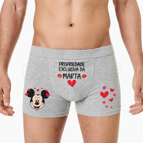 Boxer Propriedade