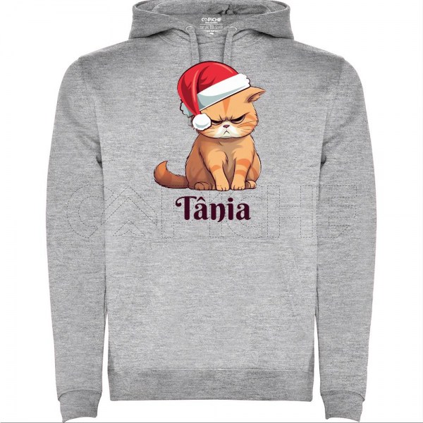 Sweater Meme Cat