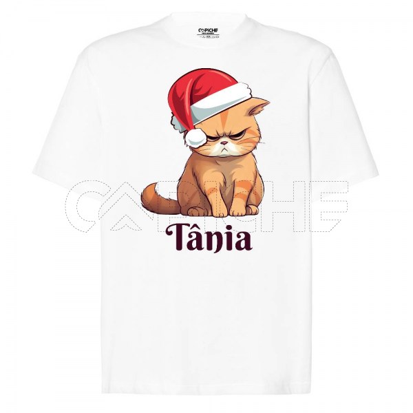 Sweater Meme Cat