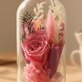 Rosa Especial Dia da Mãe